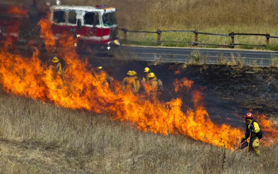 KVFD responds to fire in tree line on Dove Hill Road